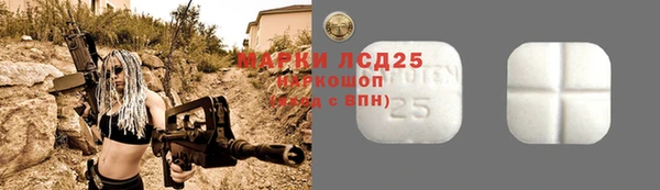 метадон Анива