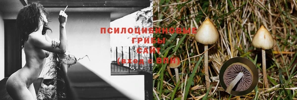 бутират Медвежьегорск