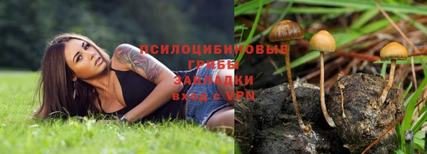 бутират Медвежьегорск