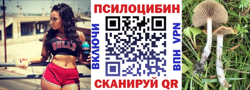Псилоцибиновые грибы Psilocybe  Рыльск 